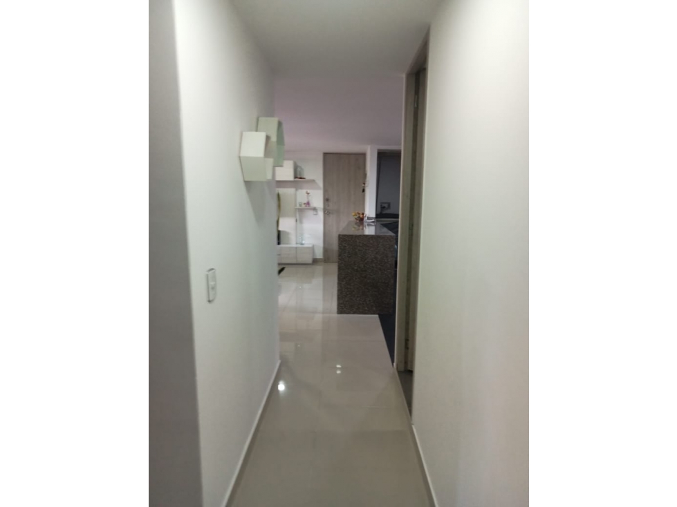 VENDO APARTAMENTO EN SURAMERICA — foto 6