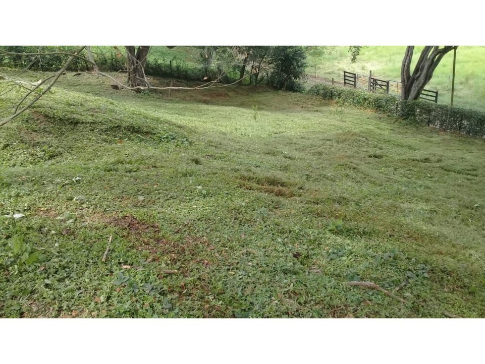 VENDO LOTE SANTA FE DE ANTIOQUIA PAN GORDITO — foto 4