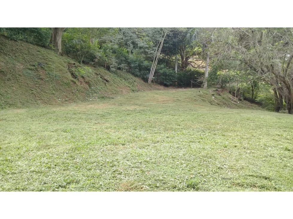 VENDO LOTE SANTA FE DE ANTIOQUIA PAN GORDITO — foto 6