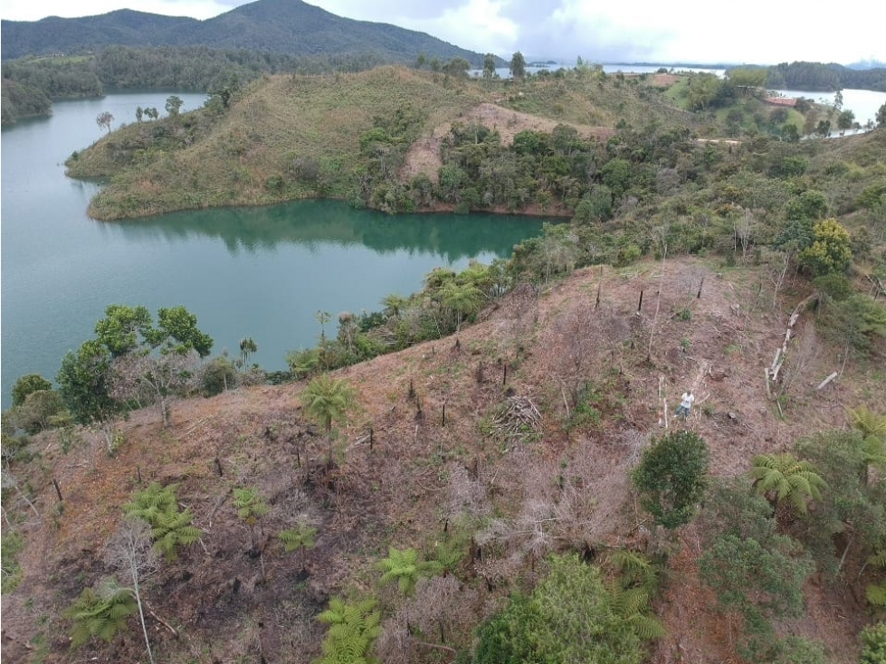 Lote en el Peñol — foto 5