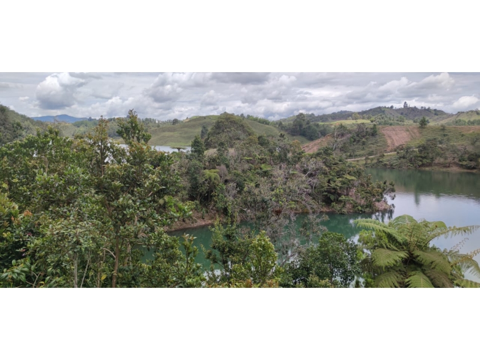 Lote en el Peñol — foto 6