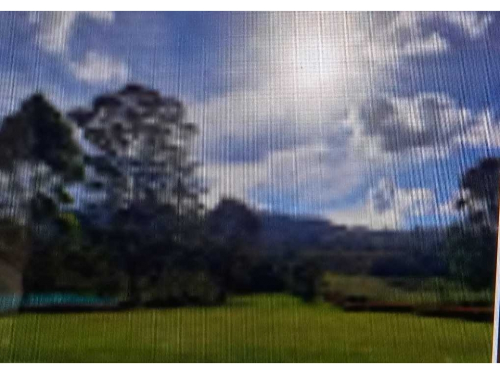Lote Campestre en Urbanización Valle del Este. La Ceja — foto 3