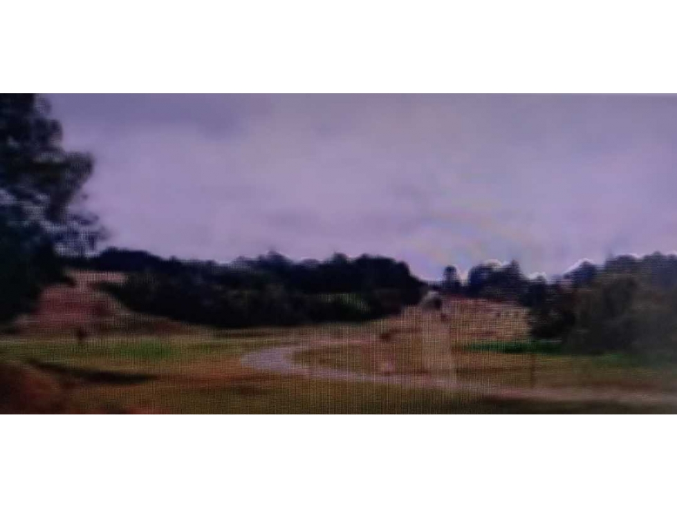 Lote Campestre en Urbanización Valle del Este. La Ceja — foto 4
