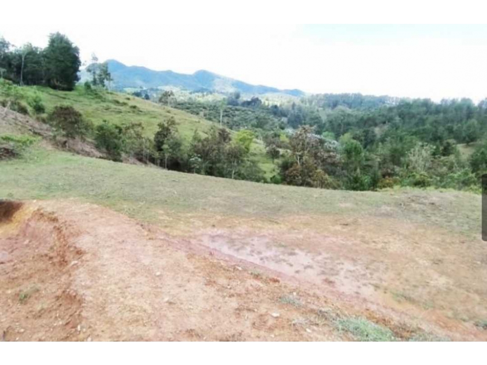 Lote en el Retiro Antioquia. Vereda el Pantanillo. — foto 4
