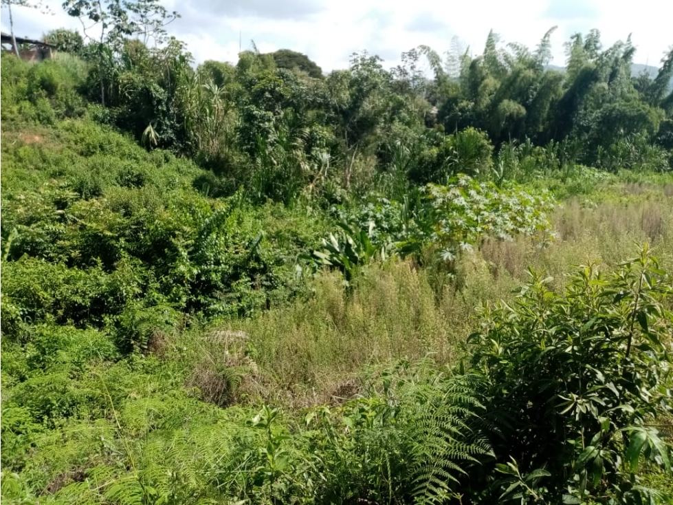 Vendo lotes urbanizados en la cumbre, Valle del Cauca - 1