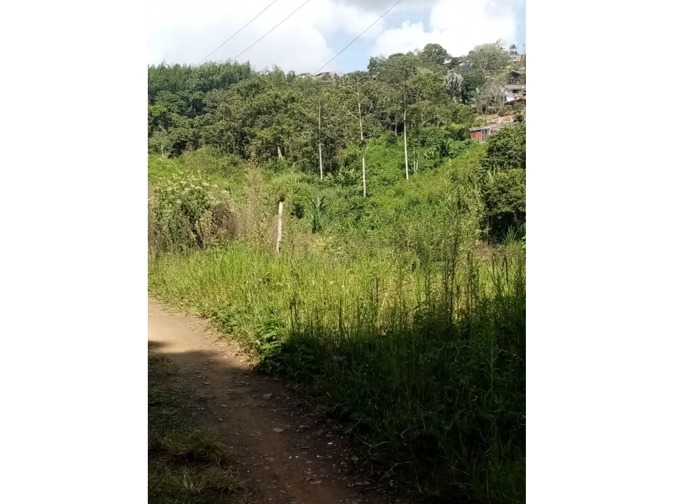 Vendo lotes urbanizados en la cumbre, Valle del Cauca - 2