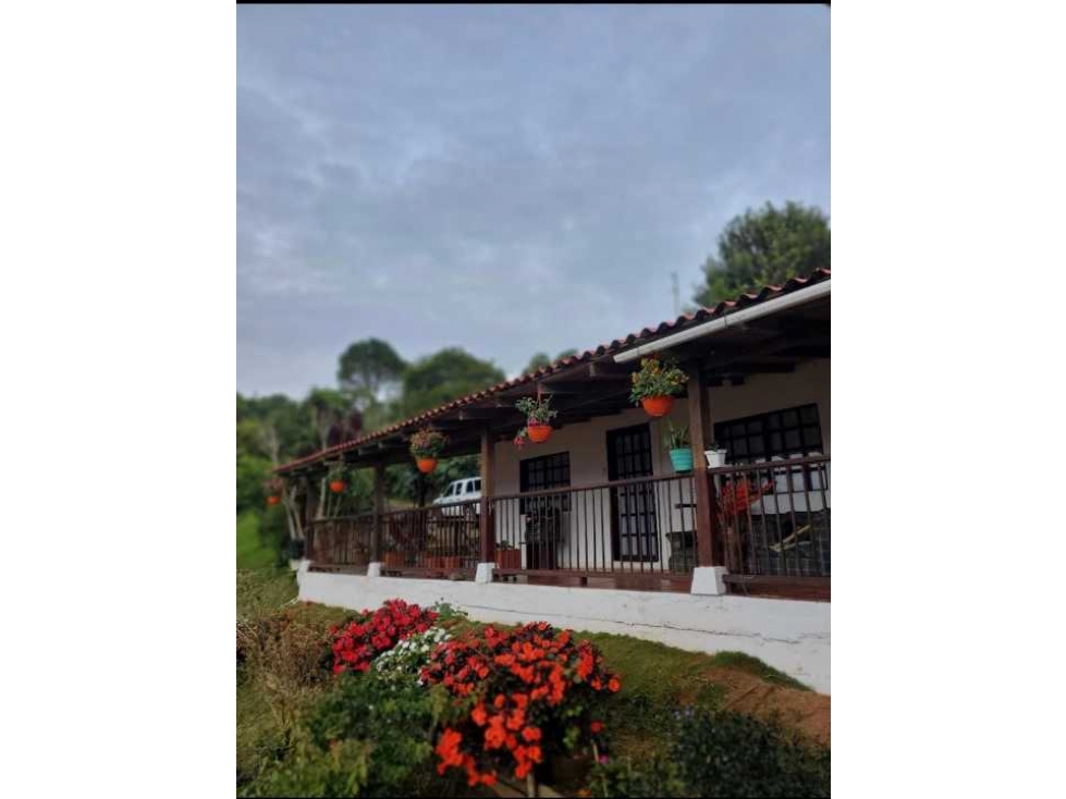 Se vende finca en DAGUA El Carmen w.7563274 MHG