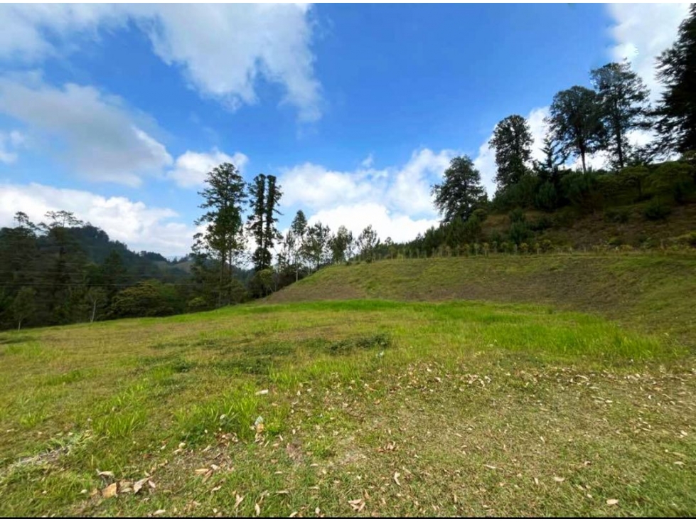 LOTE PARA LA VENTA EN EL RETIRO, MEDELLIN