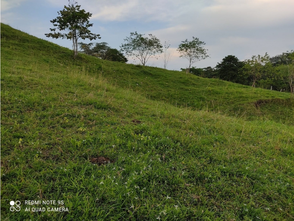 VENTA o PERMUTA de LOTES cerca a la HACIENDA NÁPOLES — foto 3