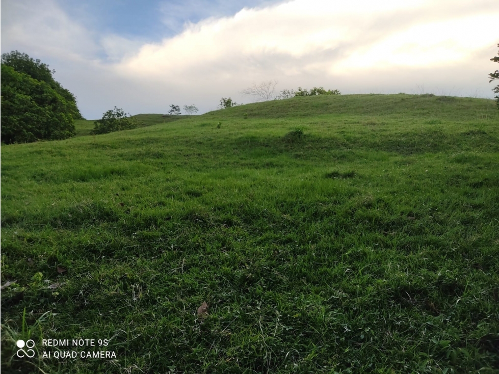 VENTA o PERMUTA de LOTES cerca a la HACIENDA NÁPOLES — foto 4