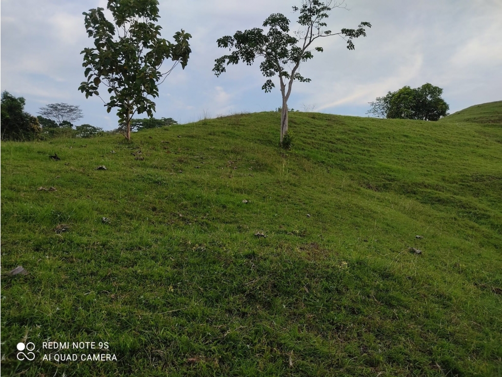 VENTA o PERMUTA de LOTES cerca a la HACIENDA NÁPOLES — foto 5