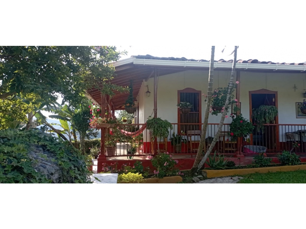 Venta o permuta de hermosa FINCA CAFETERA en VERSALLES - Antioquia — foto 2