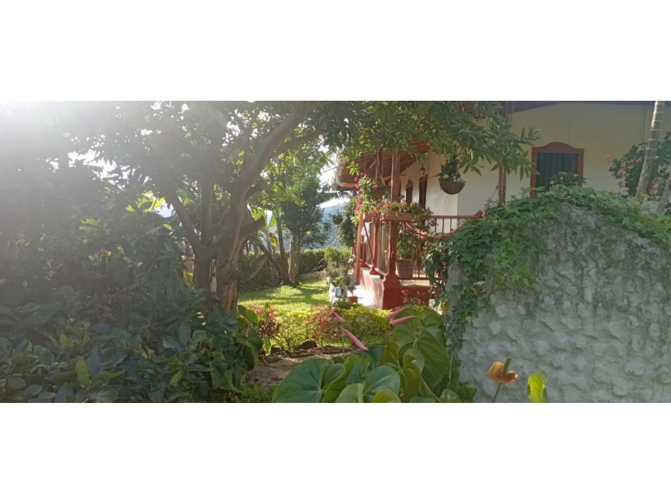 Venta o permuta de hermosa FINCA CAFETERA en VERSALLES - Antioquia — foto 3
