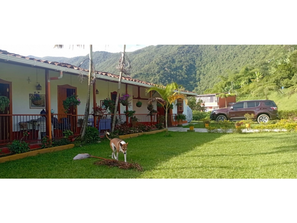 Venta o permuta de hermosa FINCA CAFETERA en VERSALLES - Antioquia — foto 4