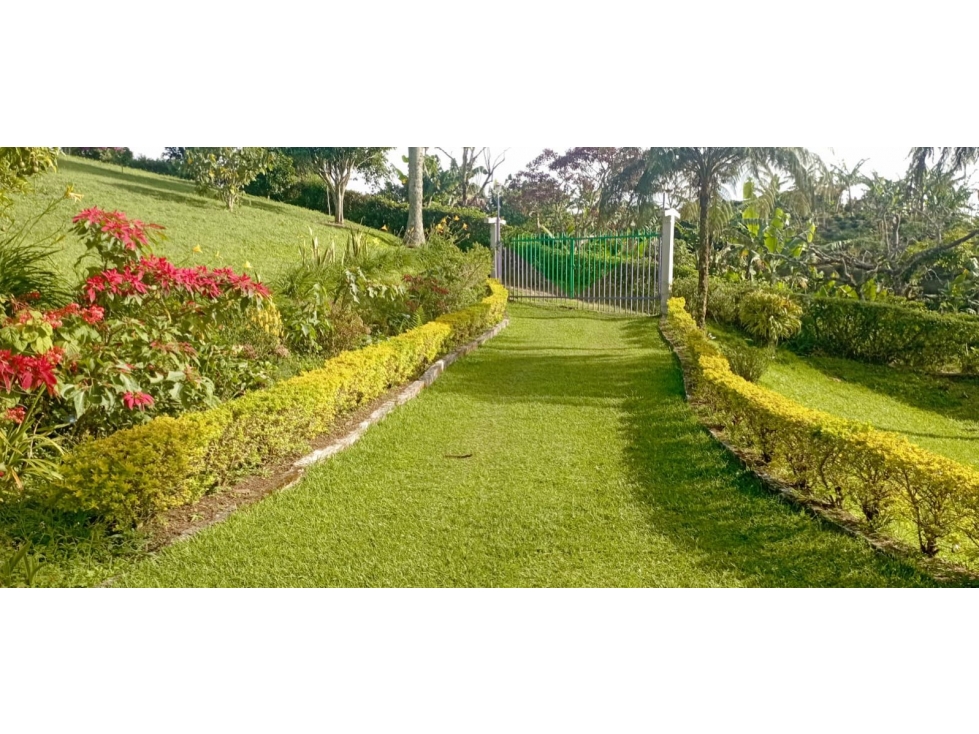 Venta o permuta de hermosa FINCA CAFETERA en VERSALLES - Antioquia — foto 6