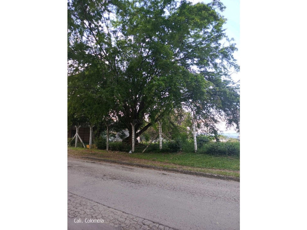 VENDO LOTE EN PANCE LJ 8963516 — foto 2