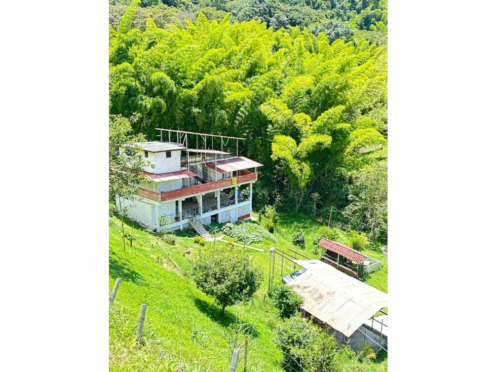 Finca en Vender en Manizales