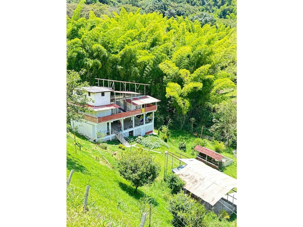 Finca en Vender en Manizales — foto 5