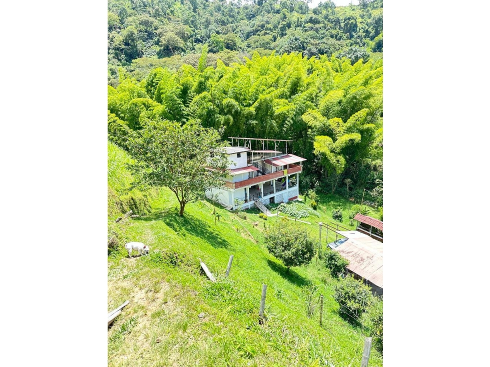 Finca en Vender en Manizales — foto 6