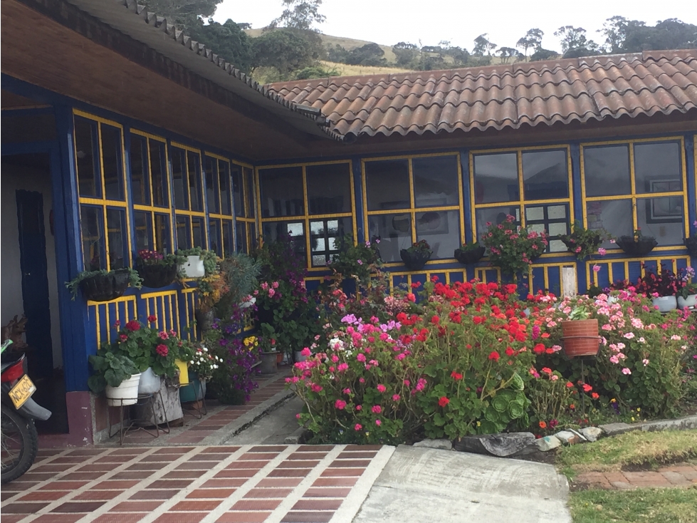 Se vende finca agrícola ganadera, Valle Del Cauca. Barragán - 1