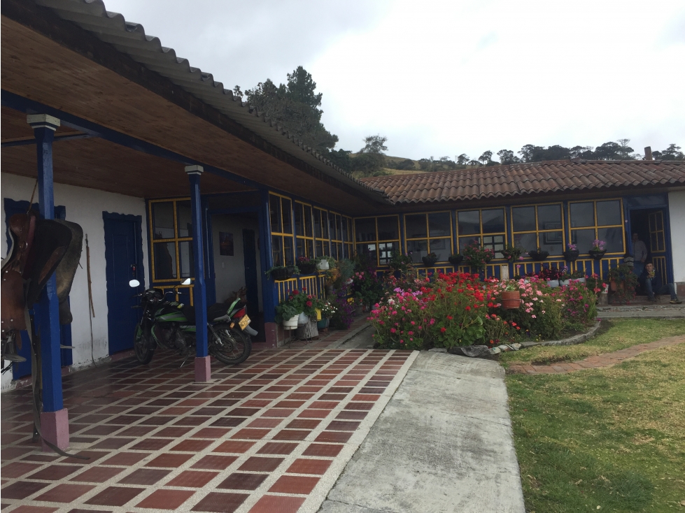 Se vende finca agrícola ganadera, Valle Del Cauca. Barragán - 2
