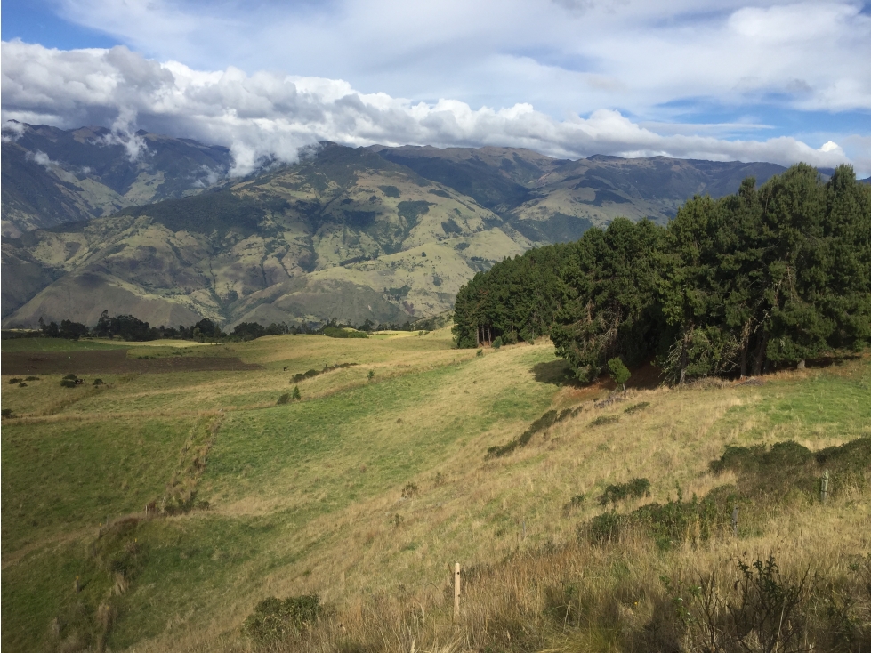 Se vende finca agrícola ganadera, Valle Del Cauca. Barragán - 4