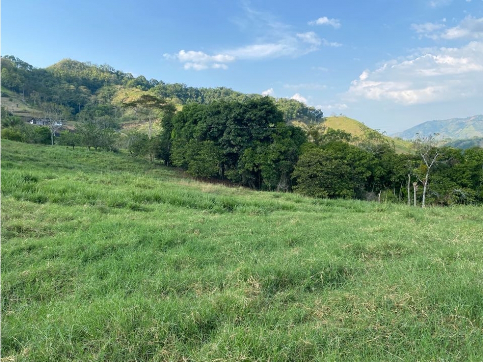 Se Vende Lote Campestre Pereira, Cerritos — foto 6