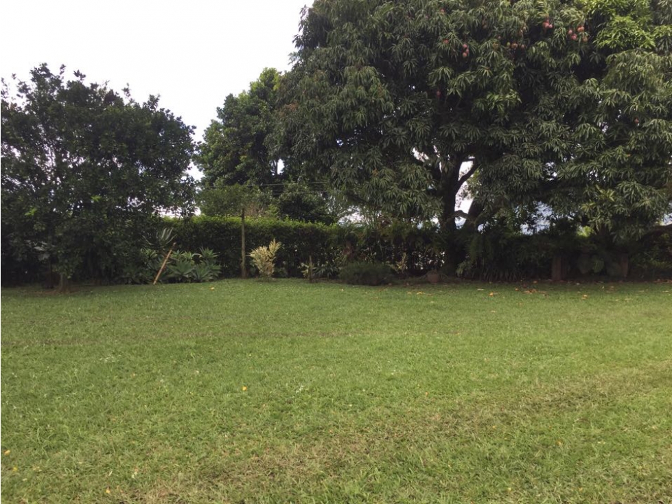 SE VENDE LOTE, PEREIRA, VIA CONDINA — foto 4