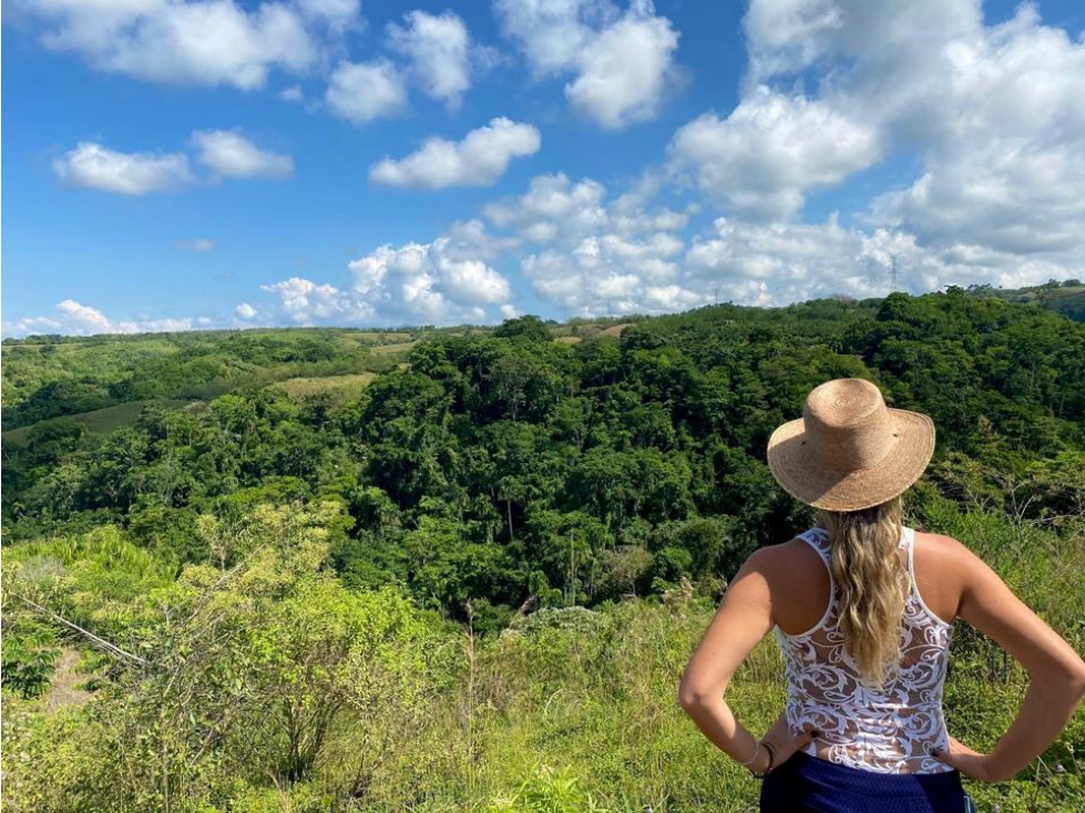 Se Venden Lote Campestre Cerritos, Pereira — foto 4