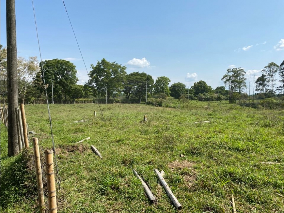 Se vende Lote, campestre, Pereira, Cerritos. — foto 3