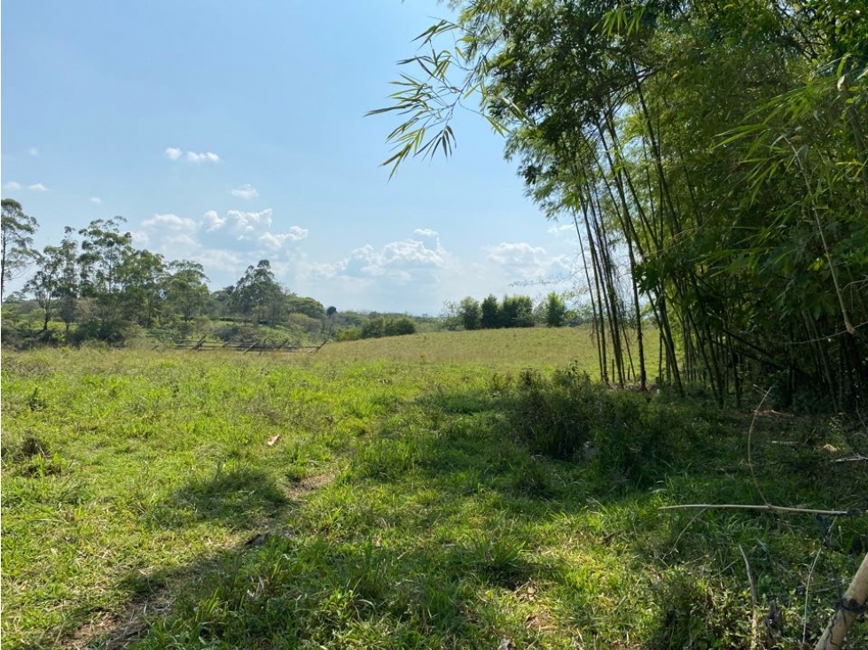 Se vende Lote, campestre, Pereira, Cerritos. — foto 5