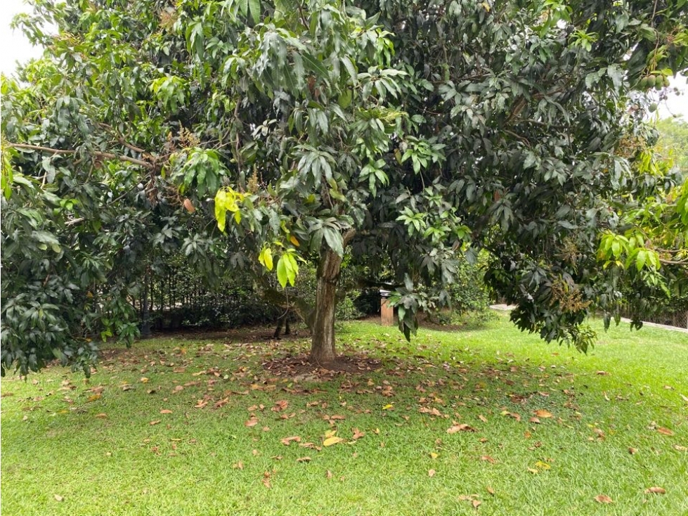 Vendo casa campestre, Pereira, Cerritos — foto 3