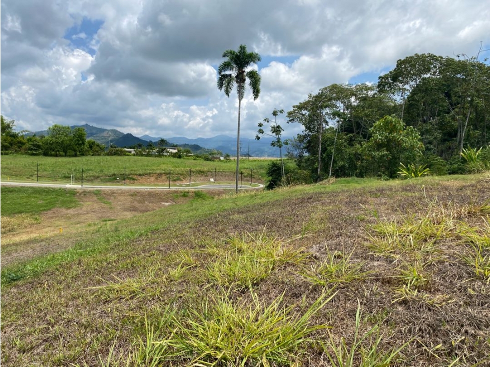 Se vende Lotes Campestres Pereira Cerritos