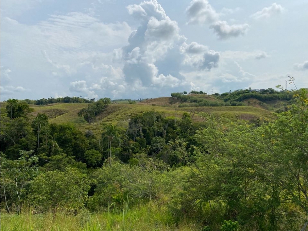 Se vende Lote Campestre, Pereira, Cerritos — foto 5
