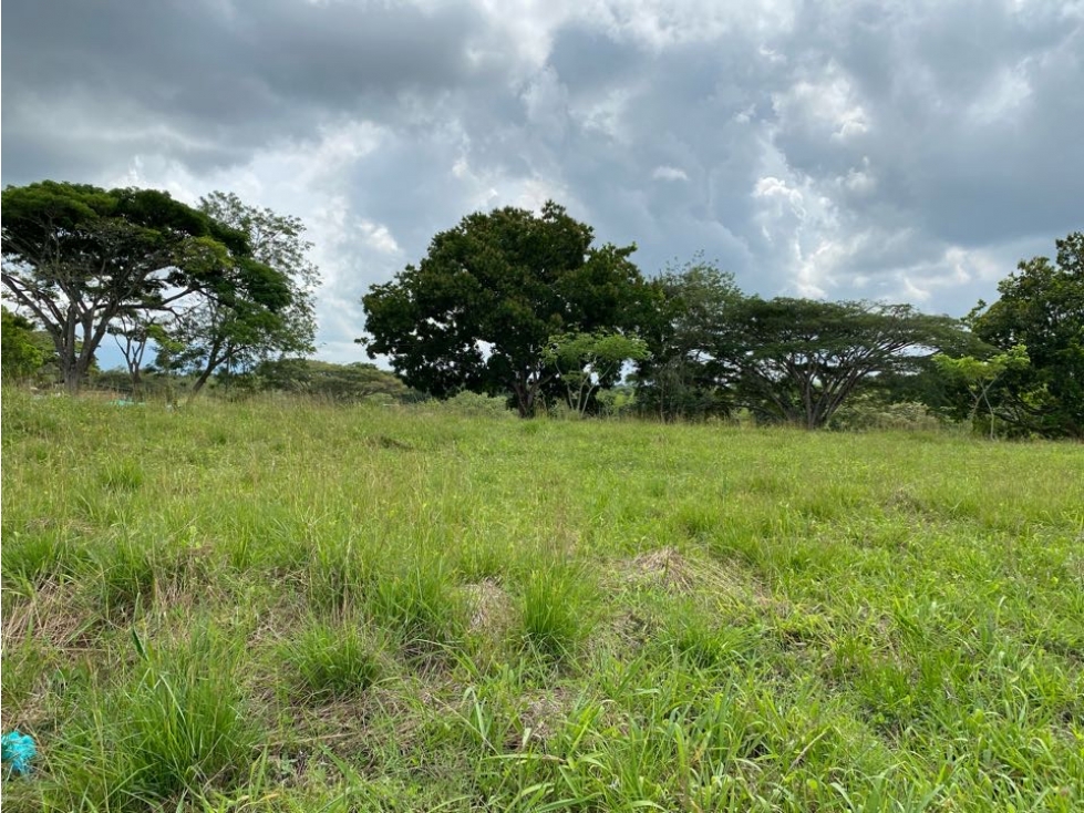 Se Vende lotes, Cerritos, Pereira
