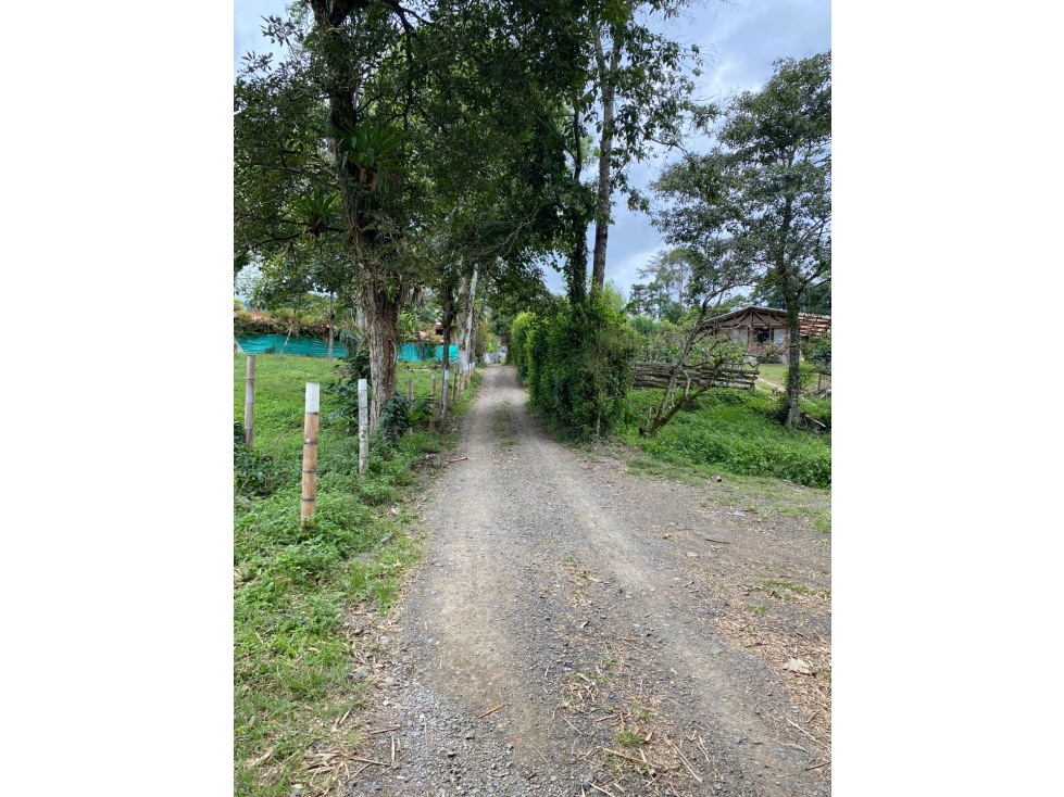 Se vende Lote Campestre, Pereira, Mundo Nuevo — foto 6