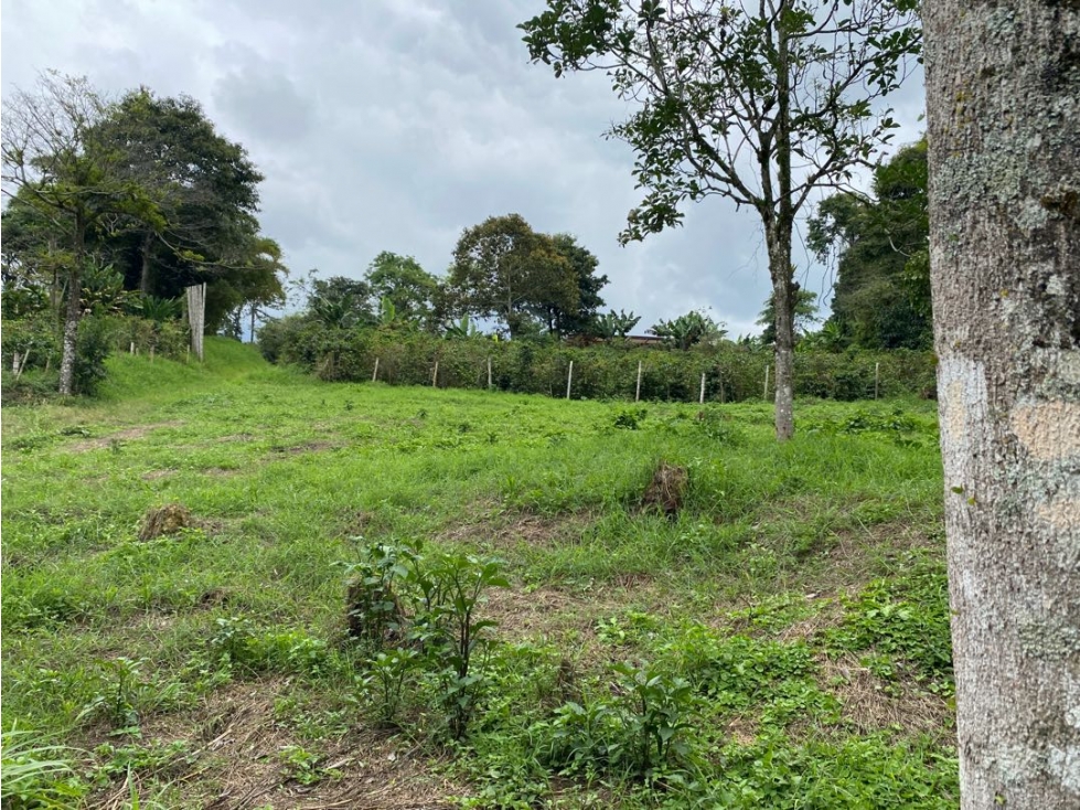 Se vende Lote Campestre, Pereira, Mundo Nuevo — foto 4