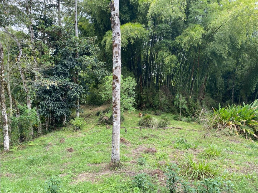 Se vende Lote Campestre, Pereira, Mundo Nuevo — foto 5