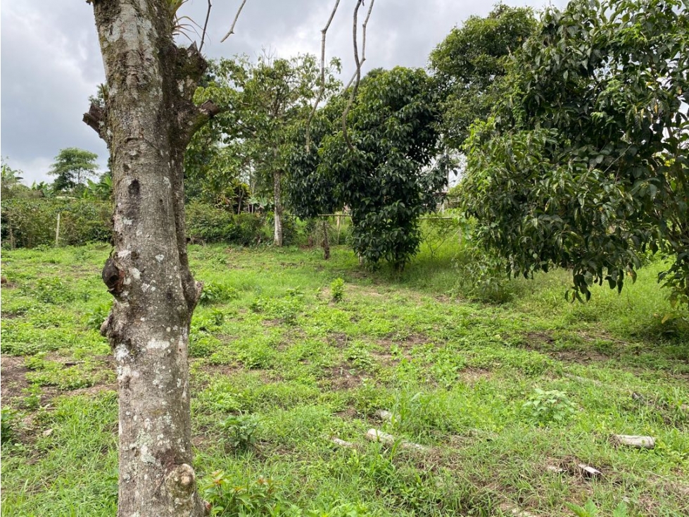 Se vende Lote Campestre, Pereira, Mundo Nuevo — foto 3