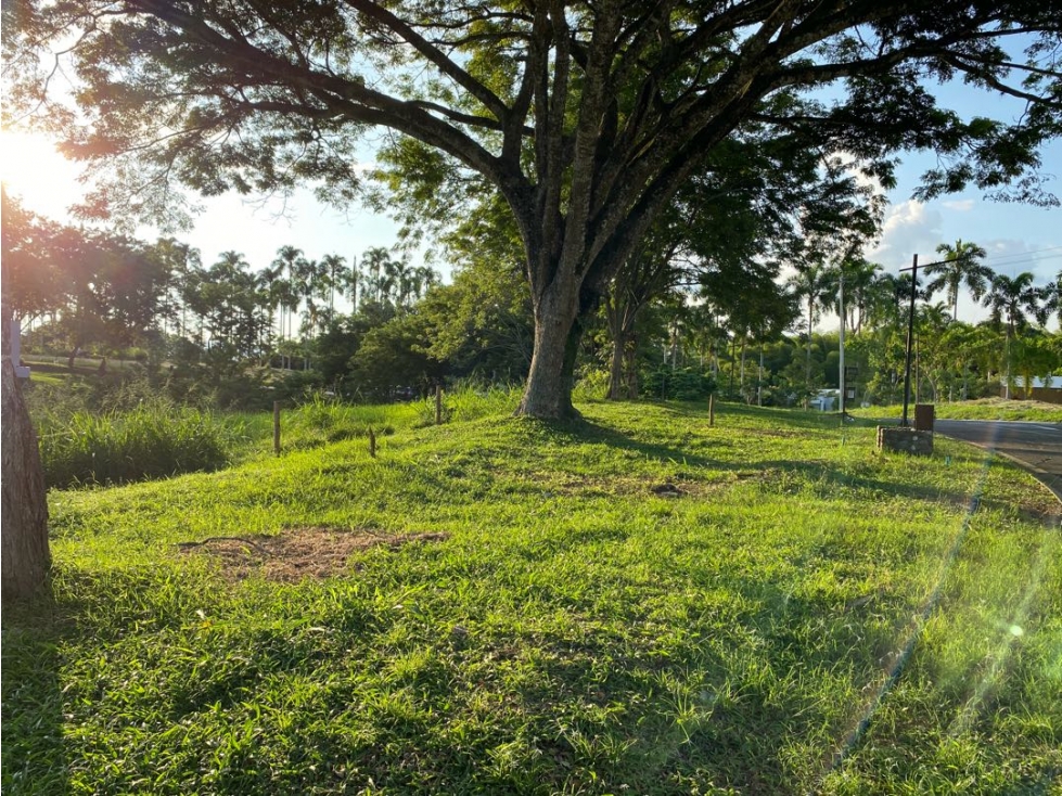 Se vende Lotes. Pereira. Cerritos — foto 4