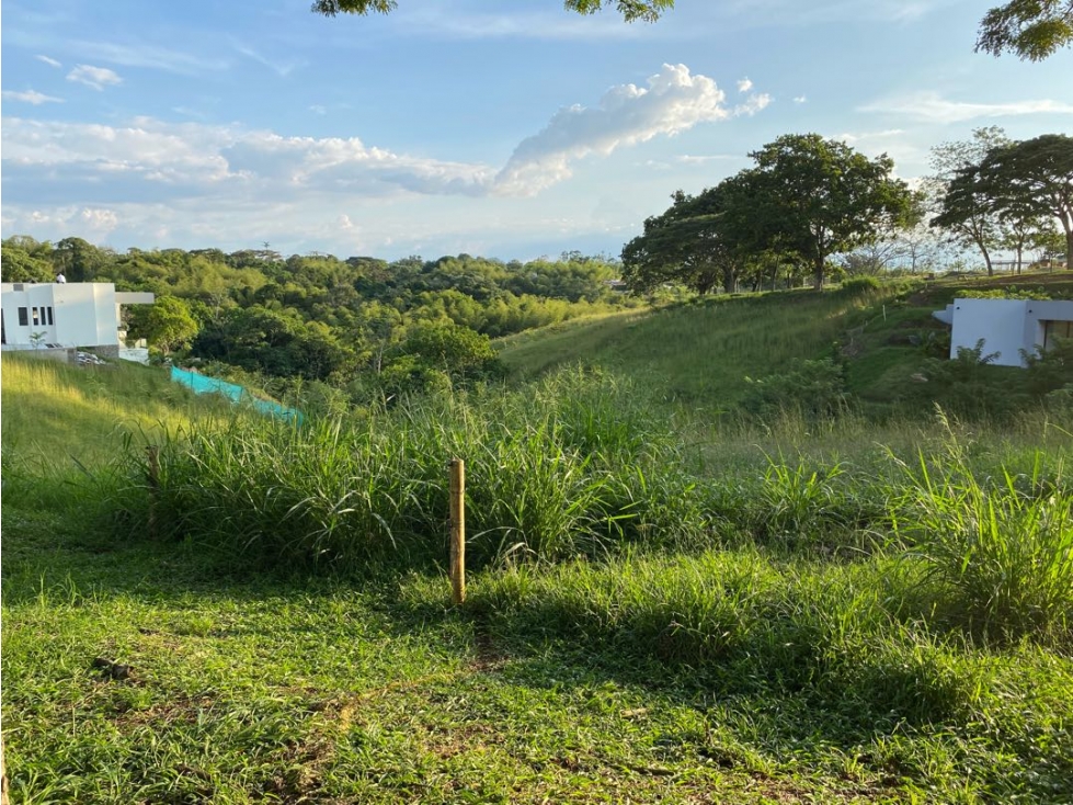 Se vende Lotes. Pereira. Cerritos — foto 5