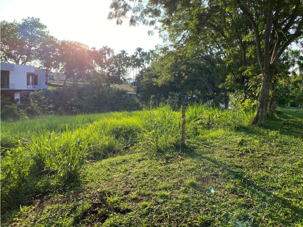 Se vende Lotes. Pereira. Cerritos