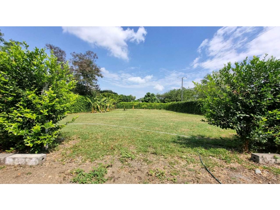 Venta de lotes campestres en condominio Guacari W8409730-ISA - 2