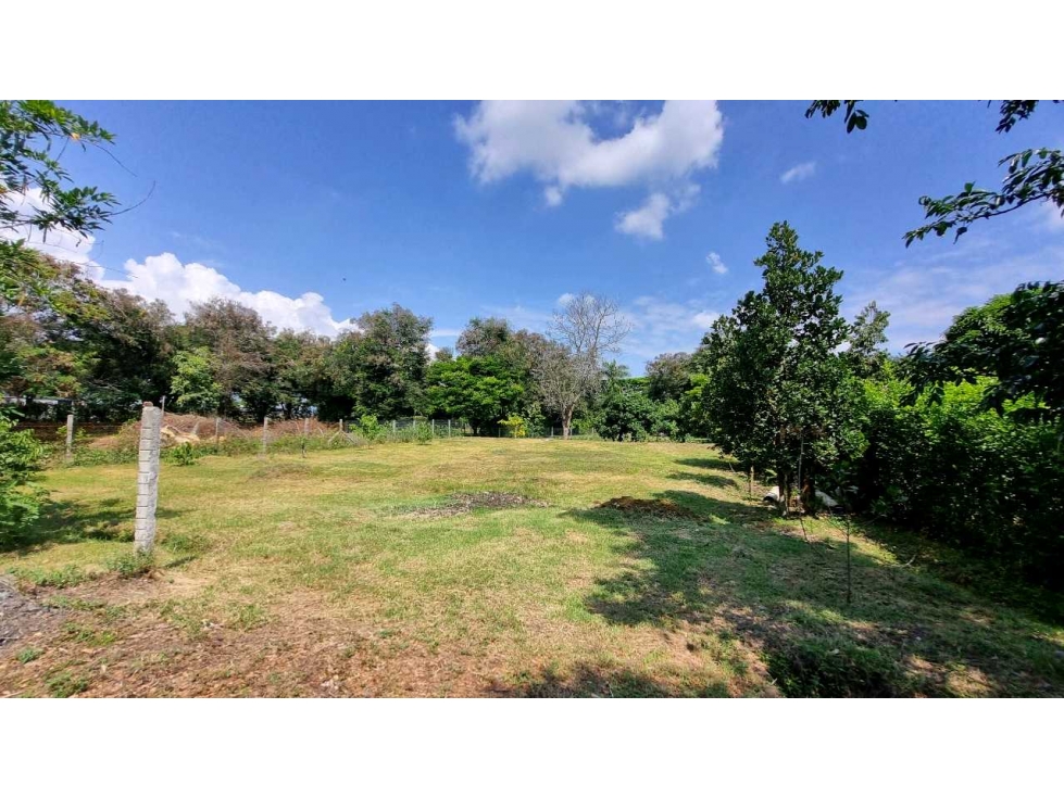 Venta de lotes campestres en condominio Guacari W8409730-ISA - 3