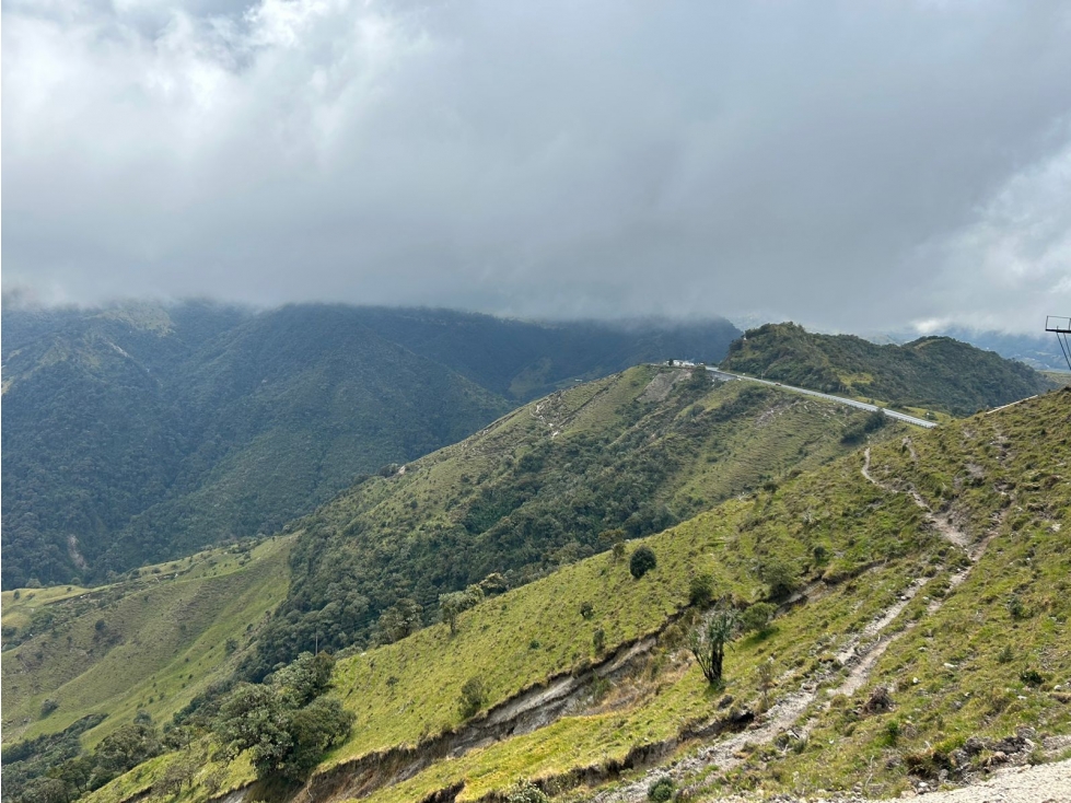 Se Vende Finca en Letras Caldas — foto 6