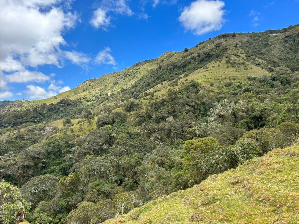 Se Vende Finca en Letras Caldas — foto 2