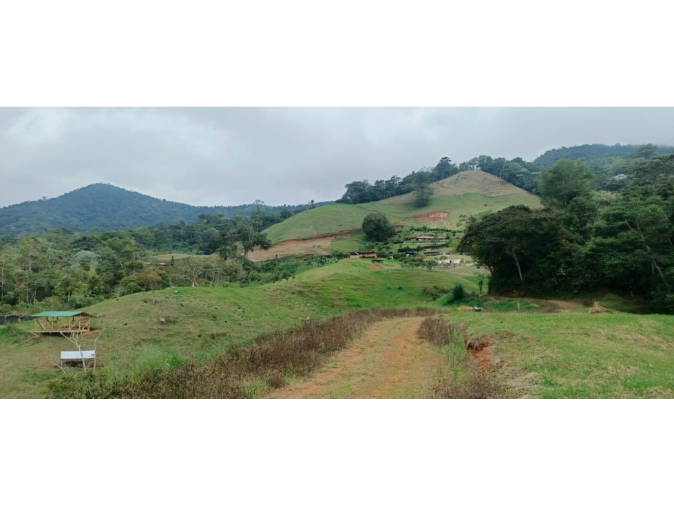Vendo lotes en el Carmen Dagua W8699948 AI — foto 5