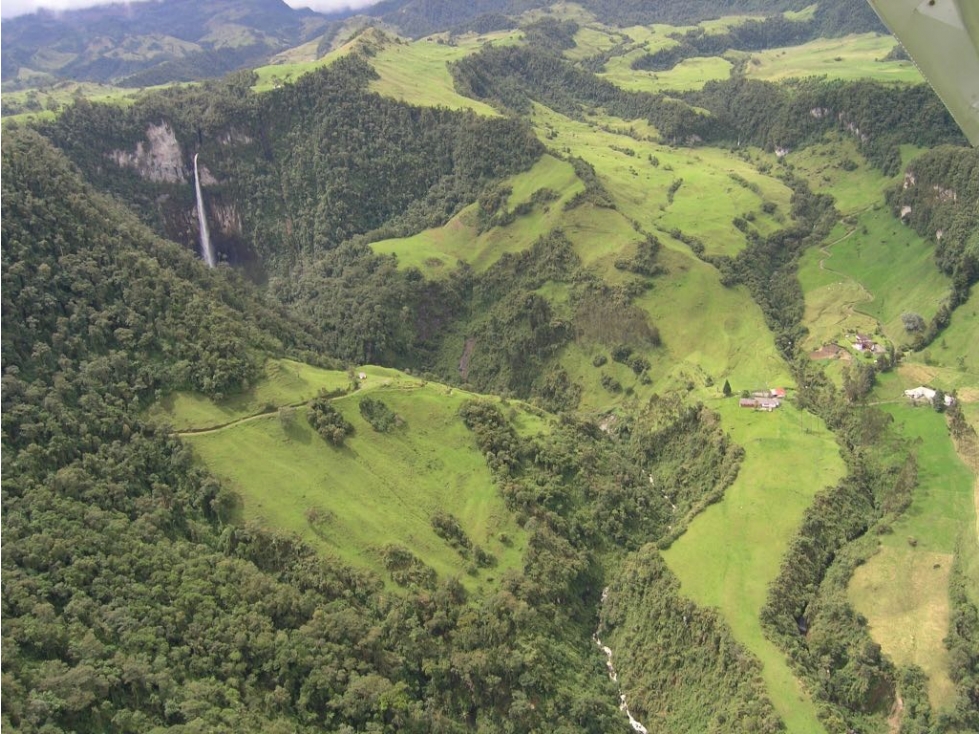 Se Vende Finca en Villamaría, Parque los Nevados. - 2