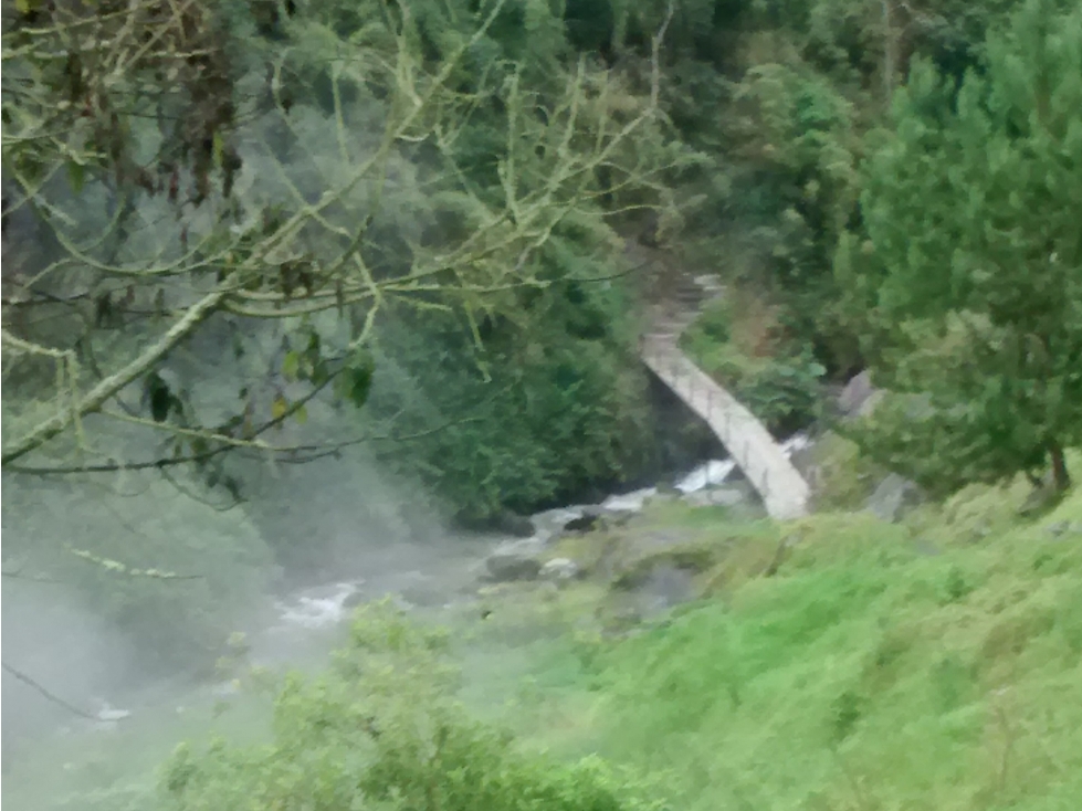 Se Vende Finca en Villamaría, Parque los Nevados. - 3