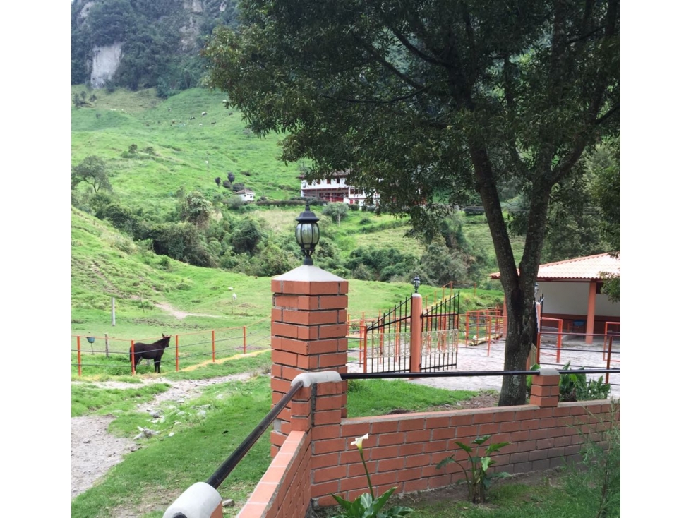 Se Vende Finca en Villamaría, Parque los Nevados. - 6
